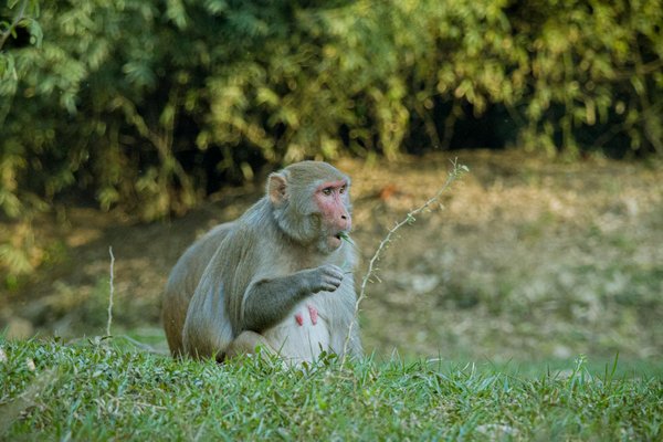 Slot En Ligne De Jeu De Jeu De Jeu De Casino