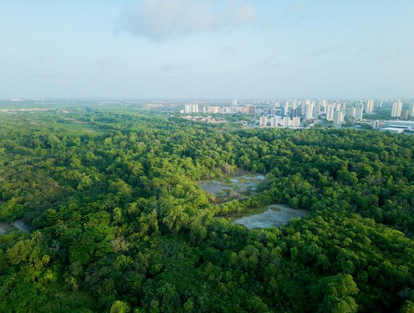 Site Roulette En Ligne Avis