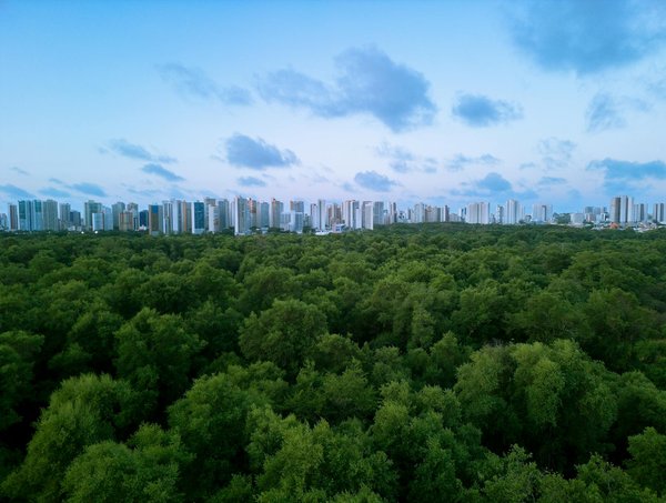 Machine à Sous Gratuits Pour Pc