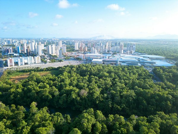 Jouez Aux Casinos Gratuits En Ligne