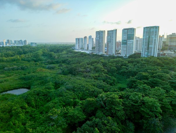 Roulette En Ligne La Plus Sûre