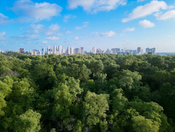 Technique Pour Jouer à La Roulette Au Casino