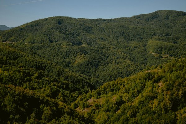 Slots 777 Spins Gratuits