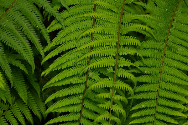 Roulette En Ligne Choix