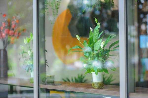 Slots Qui Paient De L Argent Réel