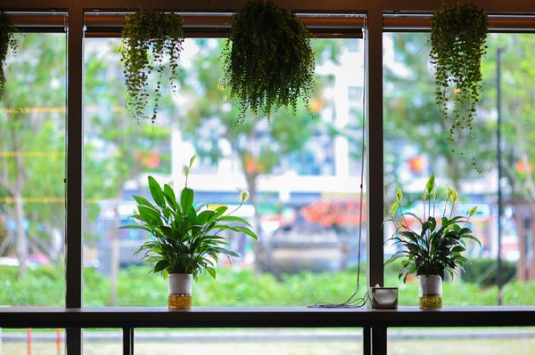 Comment Payer Avec Paysafecard