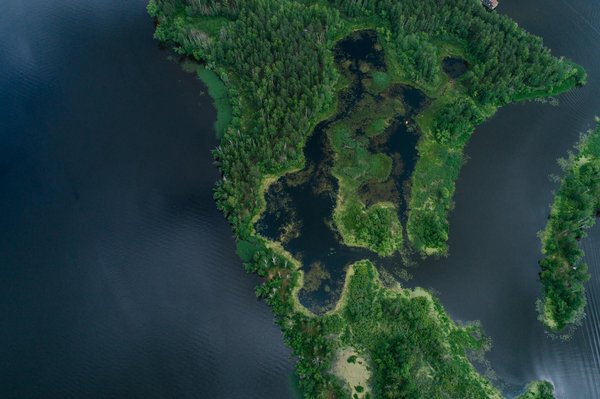 Machine De Monnaie De Casino