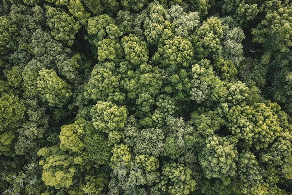 Loi Casinos En Ligne Suisse