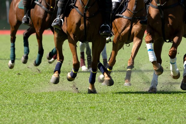 Comment la météo affectera-t-elle le Prix d'Amérique PMU 2024 ?